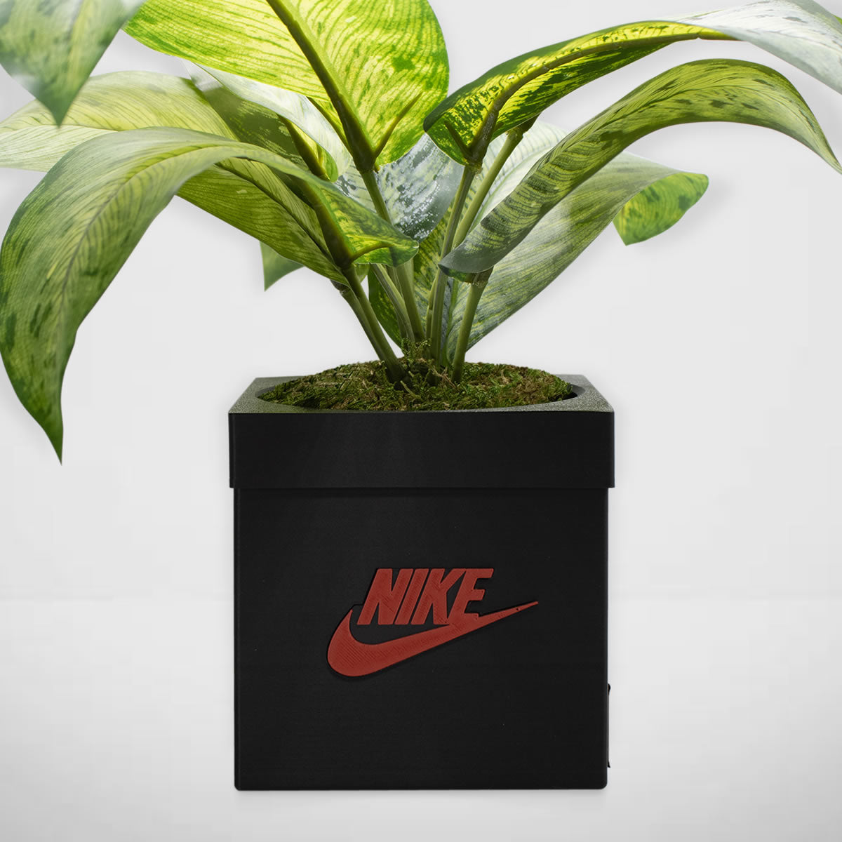 Sneakers Box Planter - Sneakers Box - Decor - Indoor Planter - sneaker planter - Free Shipping - Pots With Drainage