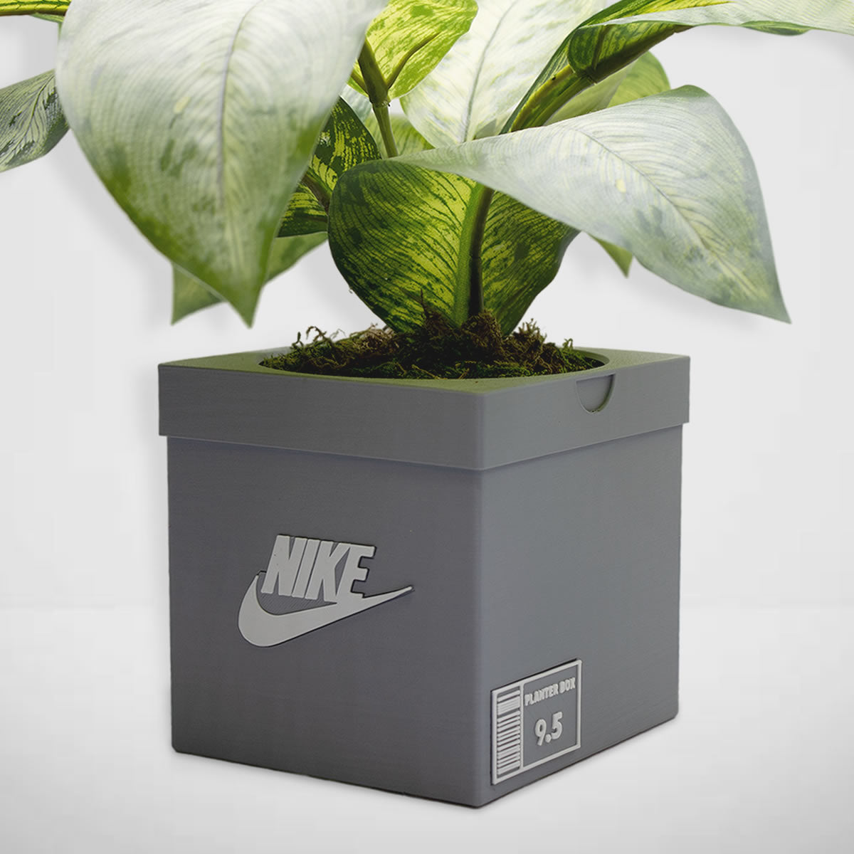 Sneakers Box Planter - Sneakers Box - Decor - Indoor Planter - sneaker planter - Free Shipping - Pots With Drainage