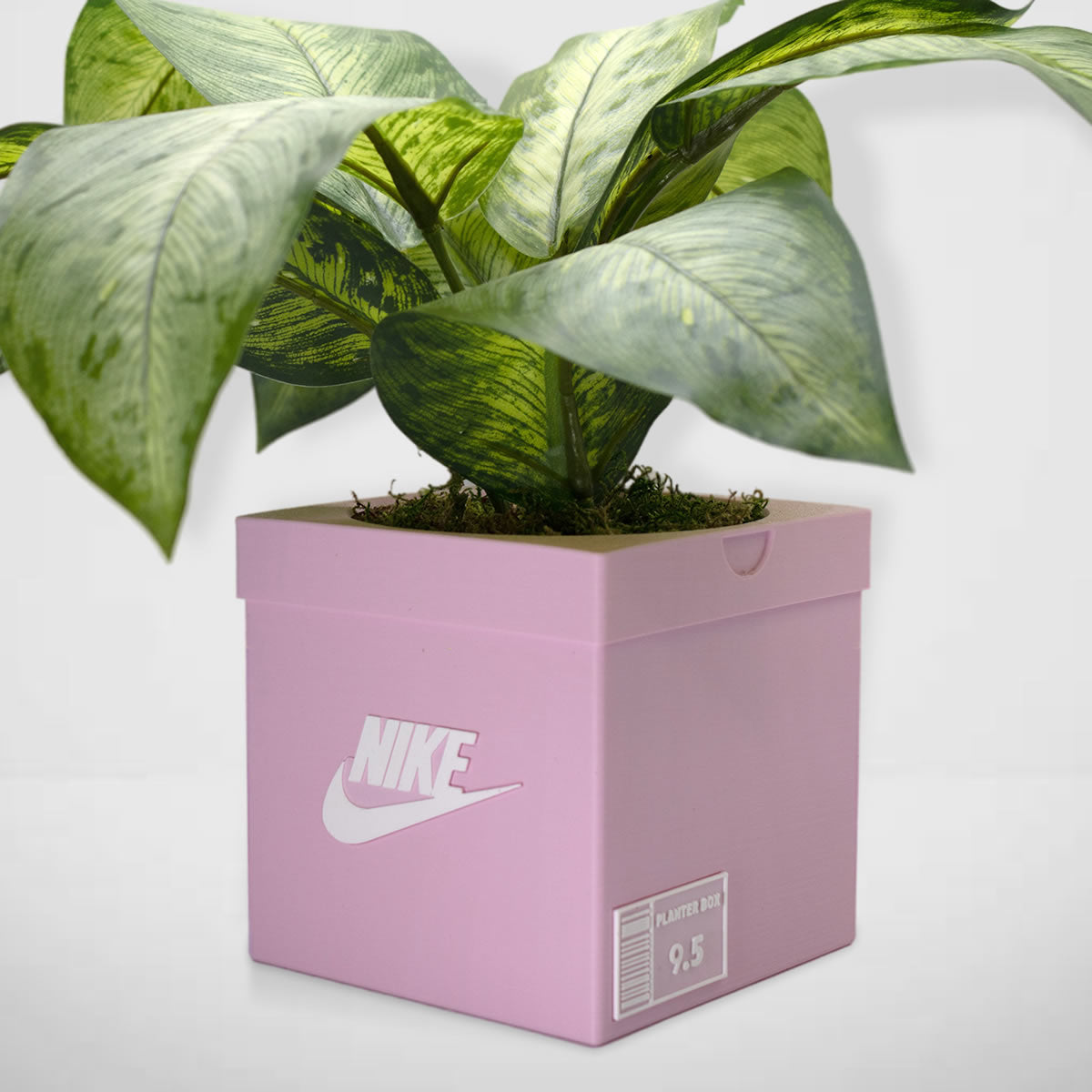 Sneakers Box Planter - Sneakers Box - Decor - Indoor Planter - sneaker planter - Free Shipping - Pots With Drainage