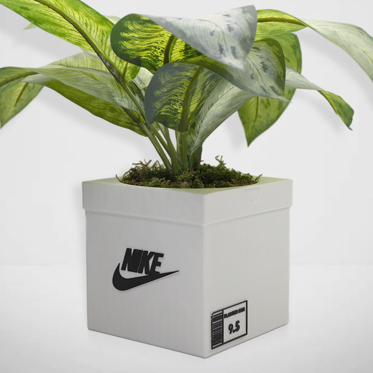 Sneakers Box Planter - Sneakers Box - Decor - Indoor Planter - sneaker planter - Free Shipping - Pots With Drainage