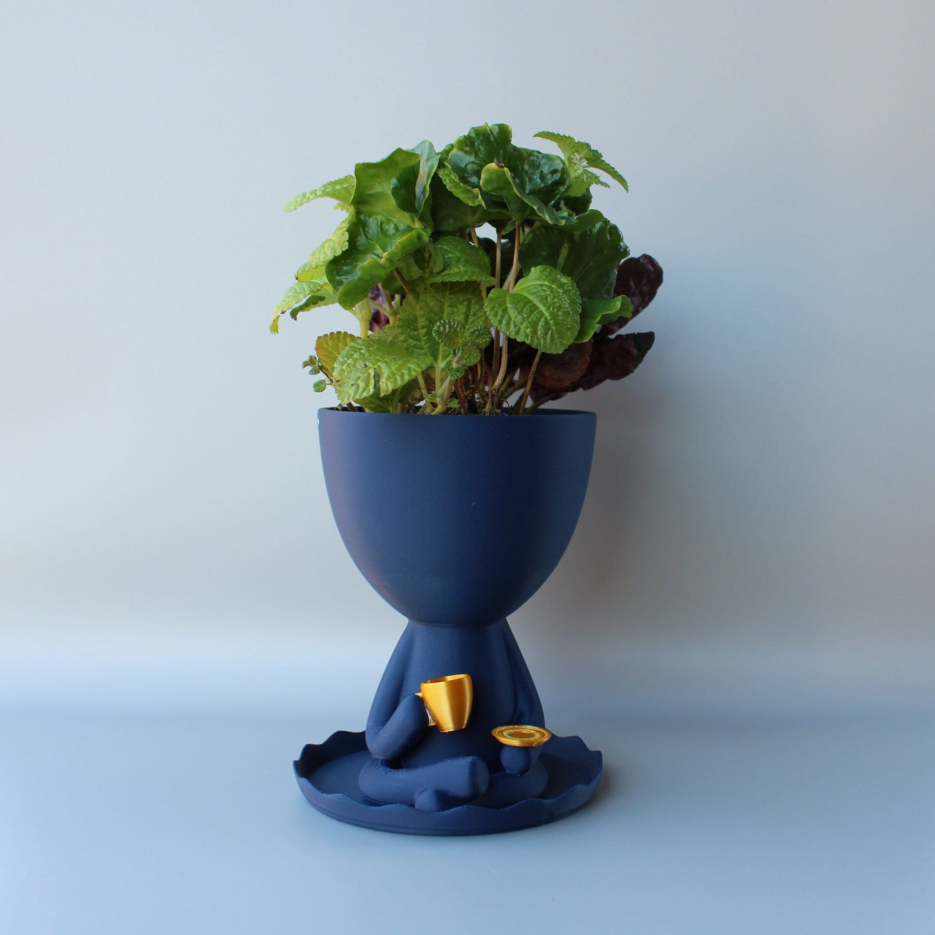 Coffee Love Planter with Drain Tray - Unique Coffee Shop Decor - Creative Drainage Pots - Coffee Bar Sign