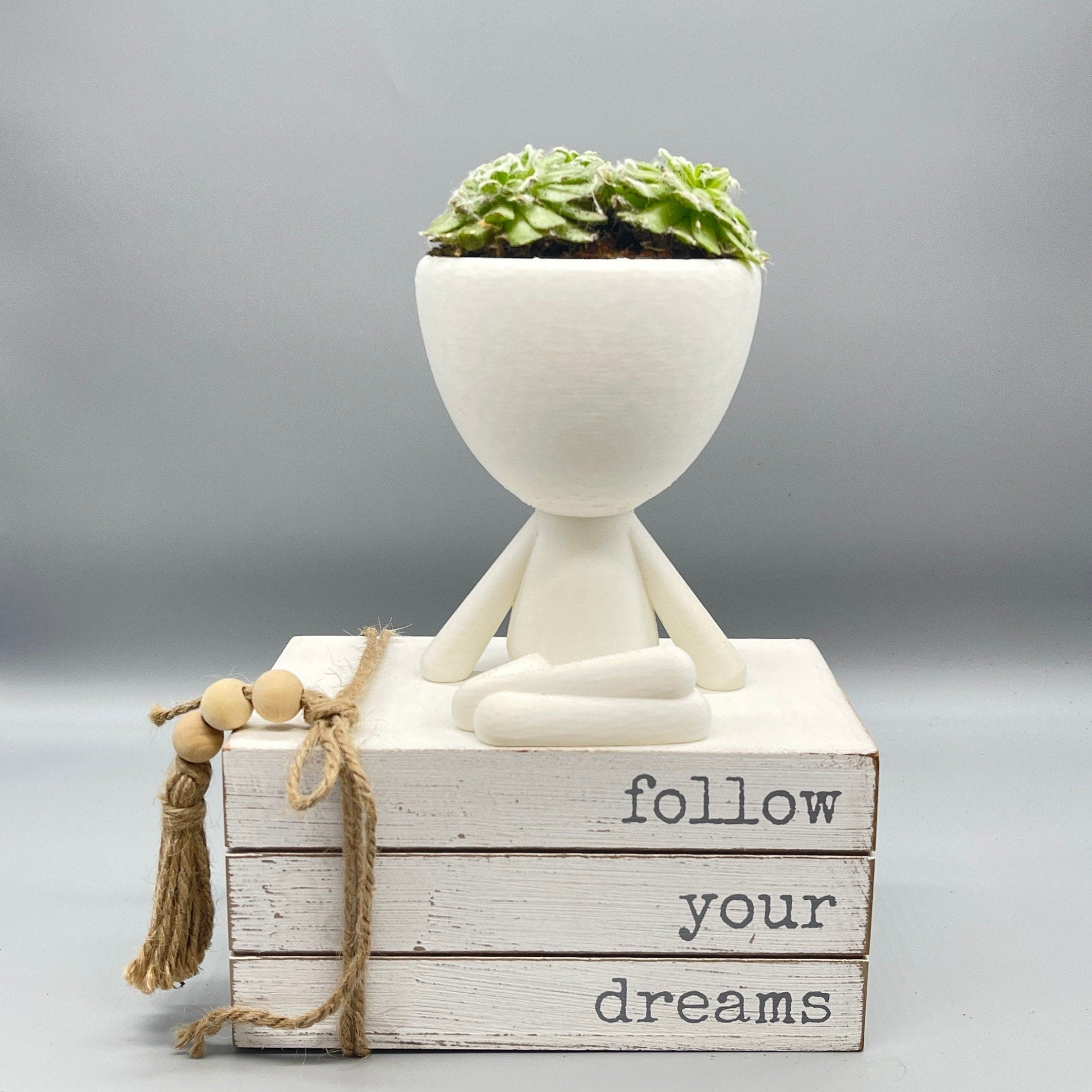 Robert the Cute Planter Set - Unique Succulent Plant Pots for Zen Vibes - 3D Printed Planter