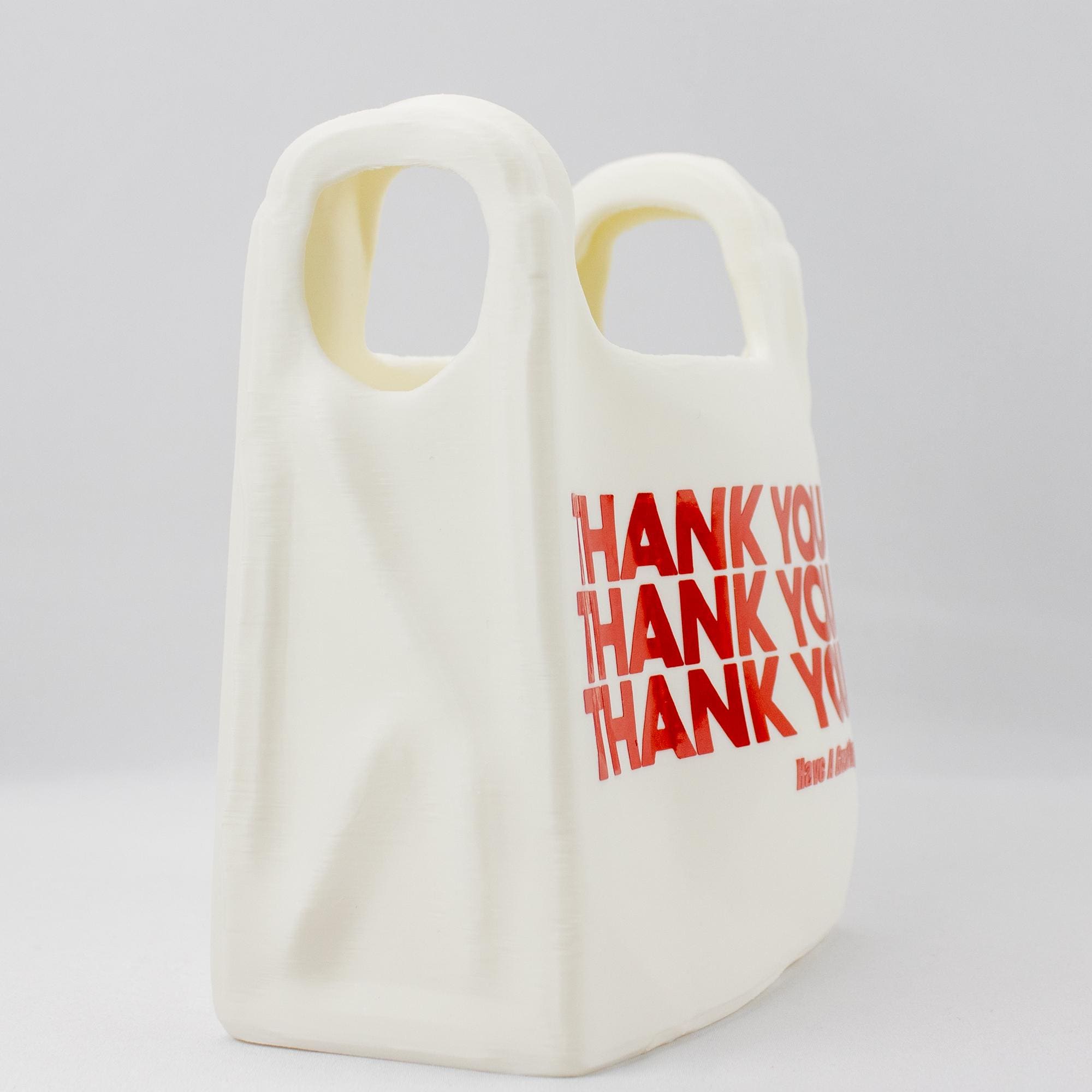 Reusable Grocery Bag Vase - 