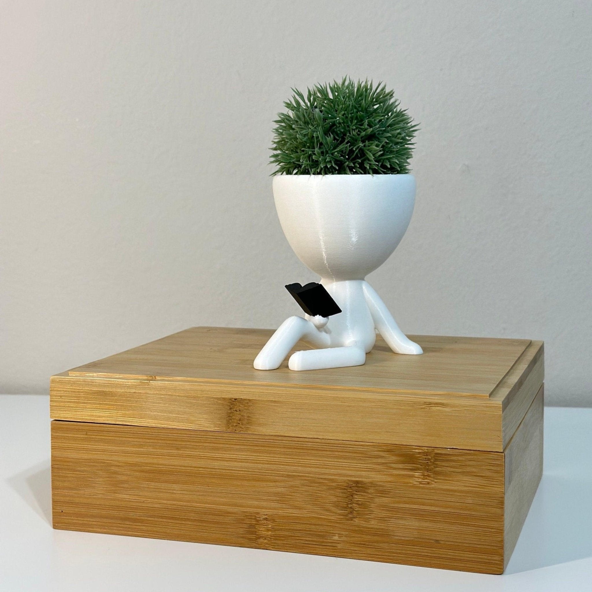 People Planter Book Reader - Pots With Drainage - People Planter pot- Suculenta Planter - Person Planter - Plant Pot - Gift - Print Level 3D