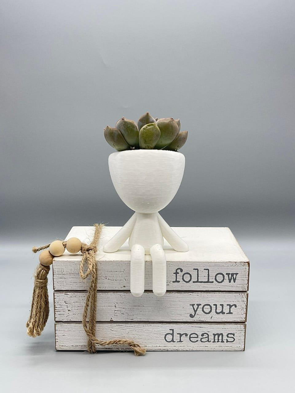 Set People Planter, Succulent Planter, Plant Pot Robert Cute Planter - Zen Planter - Print Level 3D