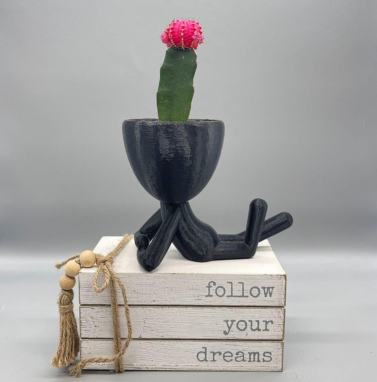 Set People Planter, Succulent Planter, Plant Pot Robert Cute Planter - Zen Planter - Print Level 3D