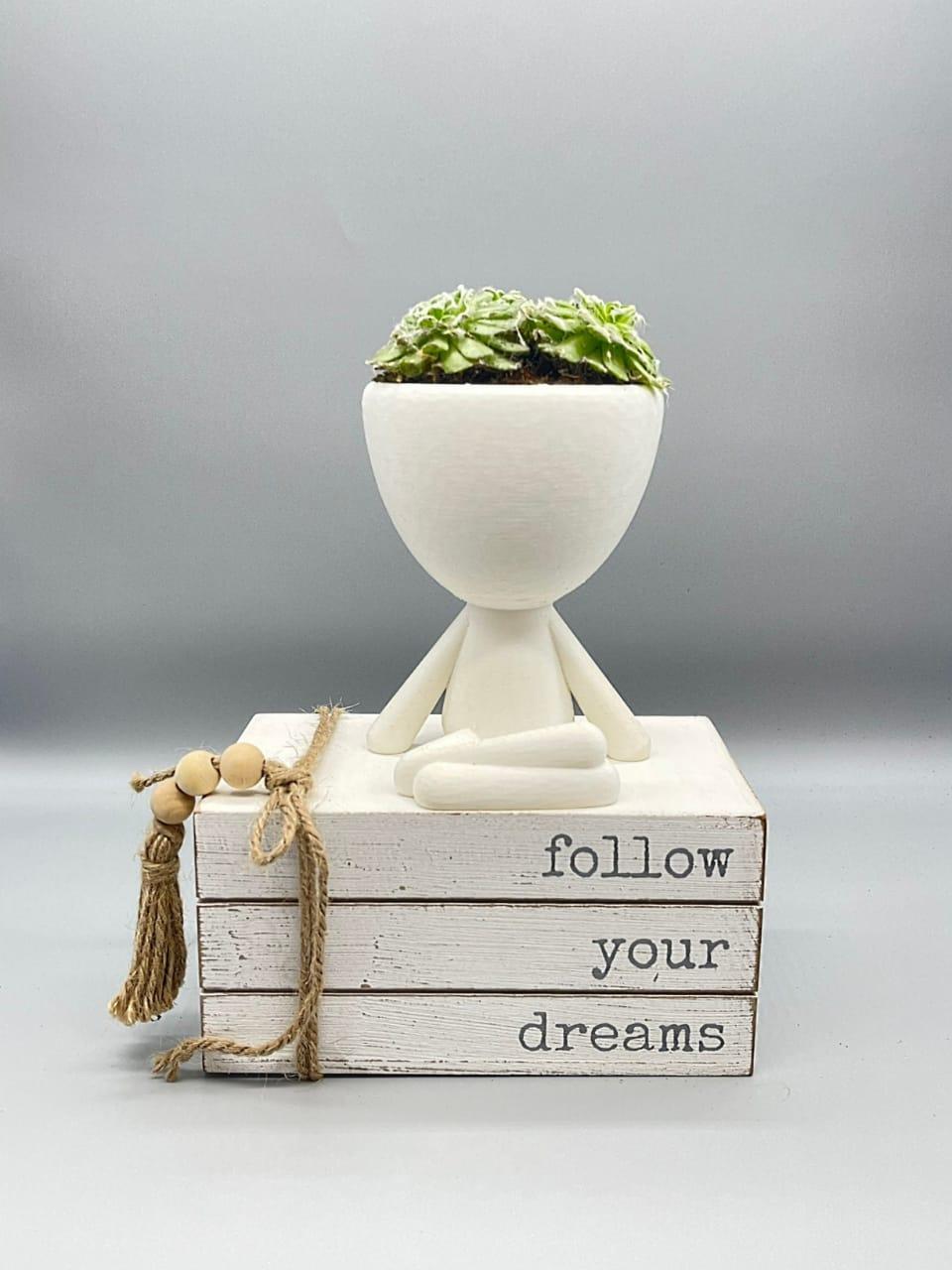 Set People Planter, Succulent Planter, Plant Pot Robert Cute Planter - Zen Planter - Print Level 3D