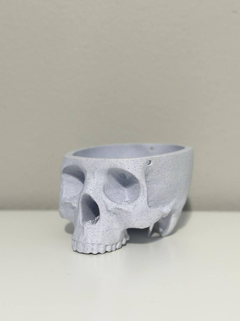 Skull Hanging Planter, Hanging Kit Included - Succulent Planter - 3D Printed - Print Level 3D