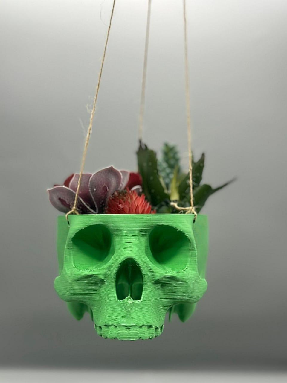 Skull Hanging Planter, Hanging Kit Included - Succulent Planter - 3D Printed - Print Level 3D