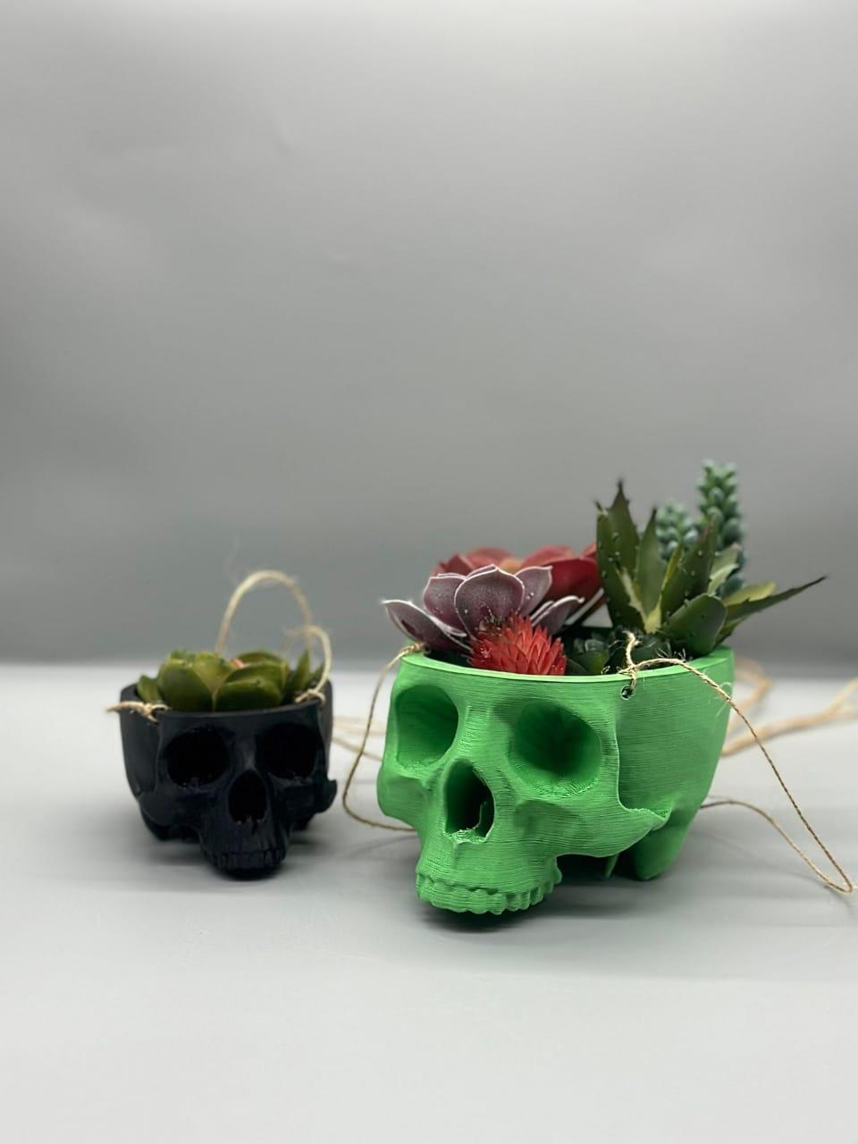 Skull Hanging Planter, Hanging Kit Included - Succulent Planter - 3D Printed - Print Level 3D