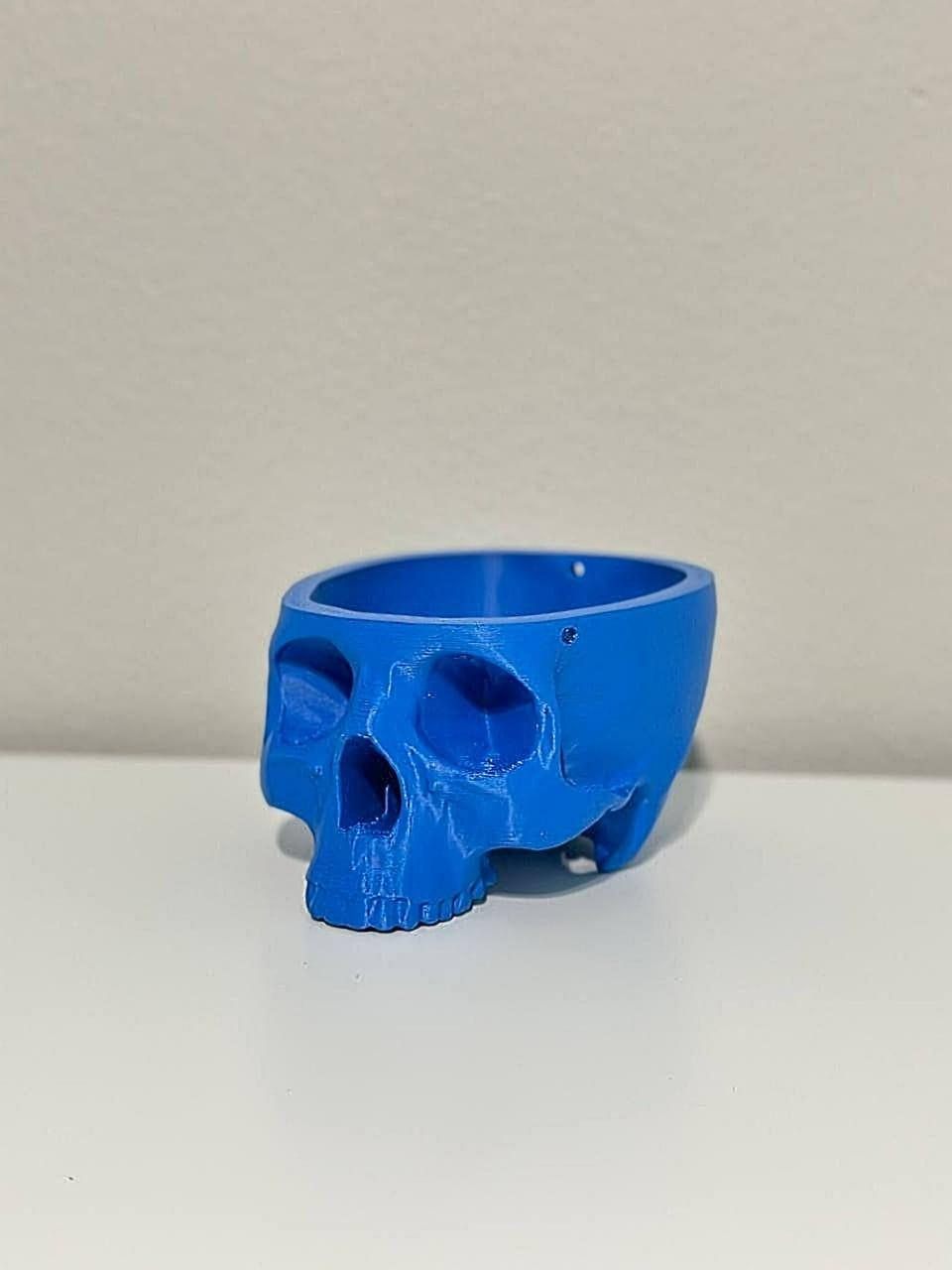 Skull Hanging Planter, Hanging Kit Included - Succulent Planter - 3D Printed - Print Level 3D