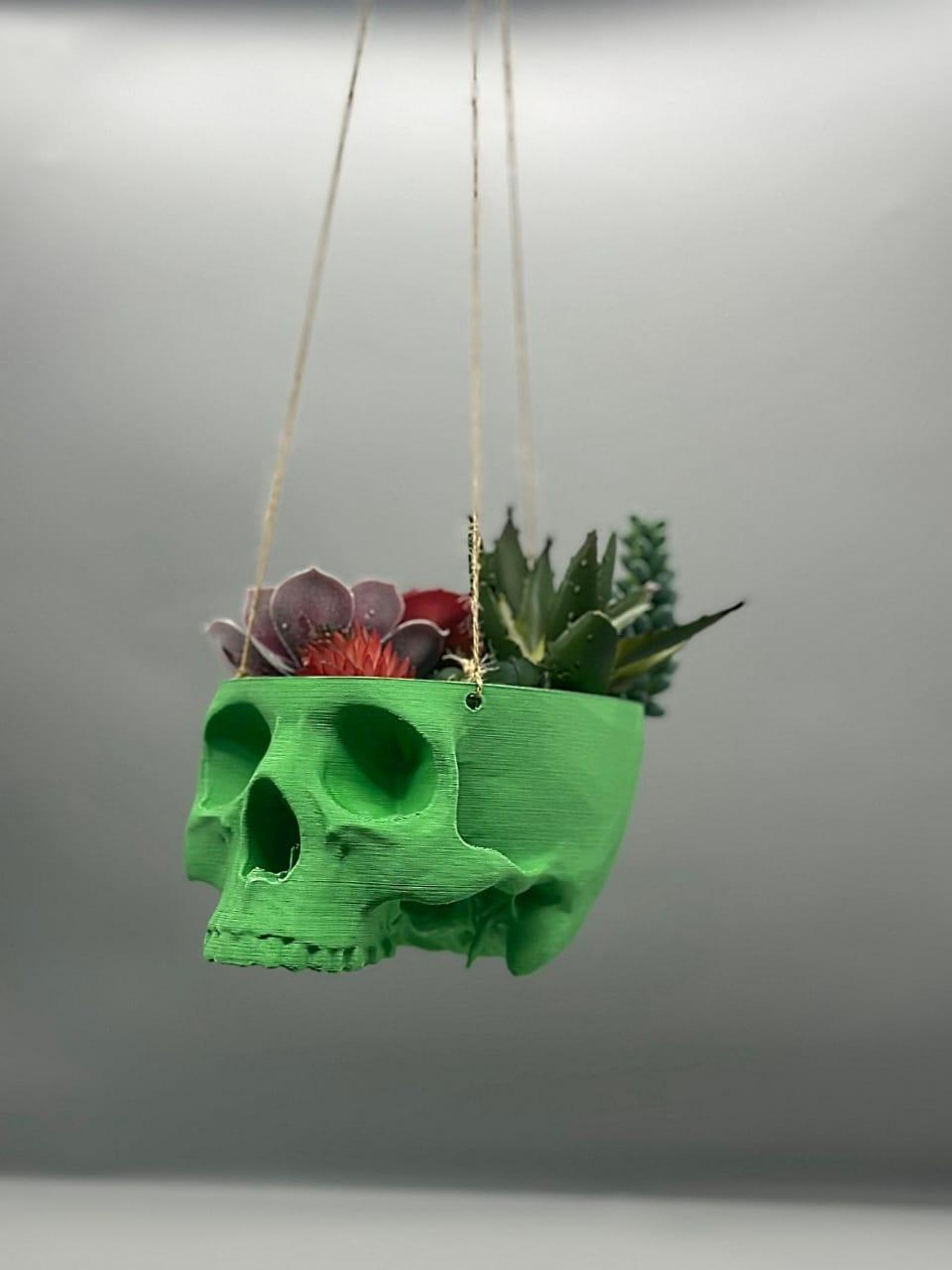 Skull Hanging Planter, Hanging Kit Included - Succulent Planter - 3D Printed - Print Level 3D