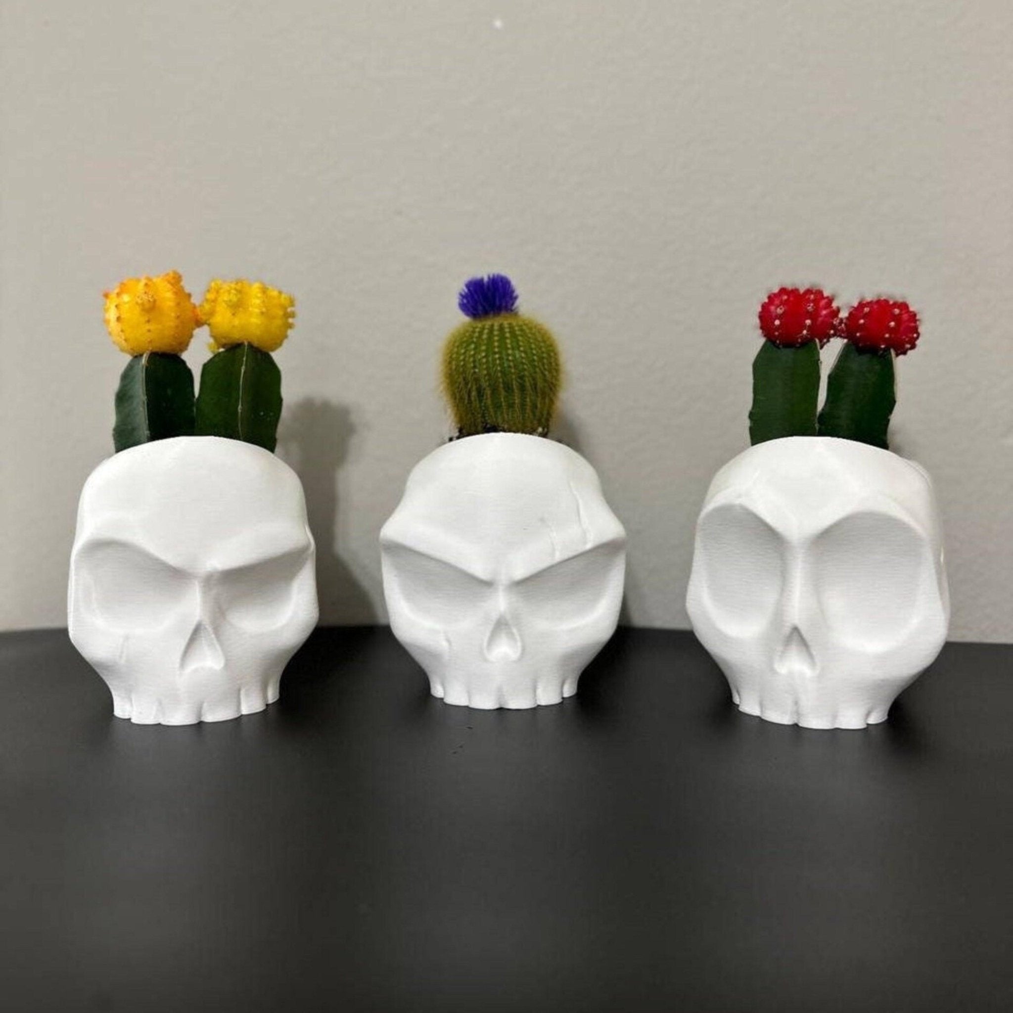 Skull Planter Pot - Human Skull - Skull Vase - Skull Pot - Skull Planter - Print Level 3D