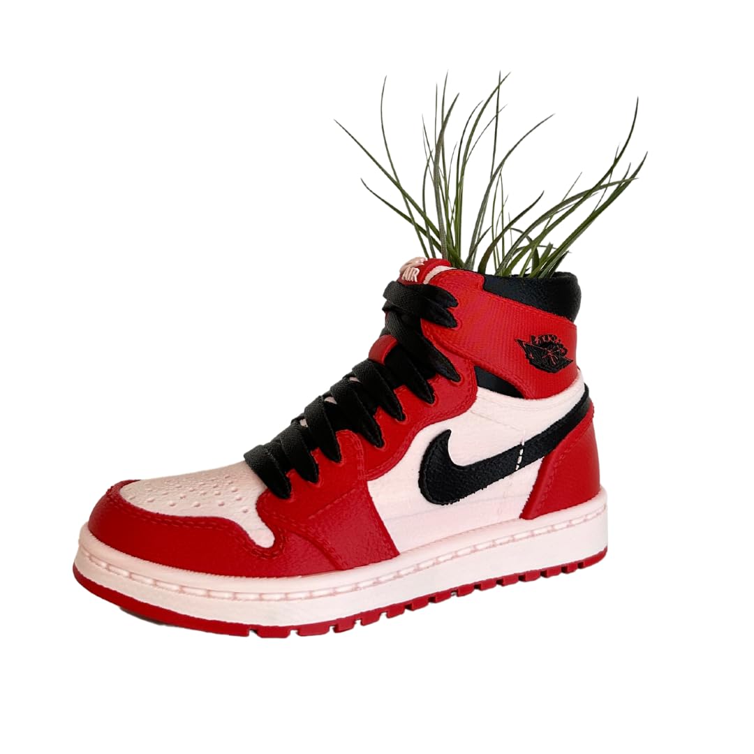 Sneakers Shoes Air High Planter Pot 3D Printed- Pen Holder & Pencil Holders- Plant Pot for Indoor Plants- EcoFriendly Plastic -Unique planter for indoor with Drainage hole- MADE IN USA - Print Level 3D