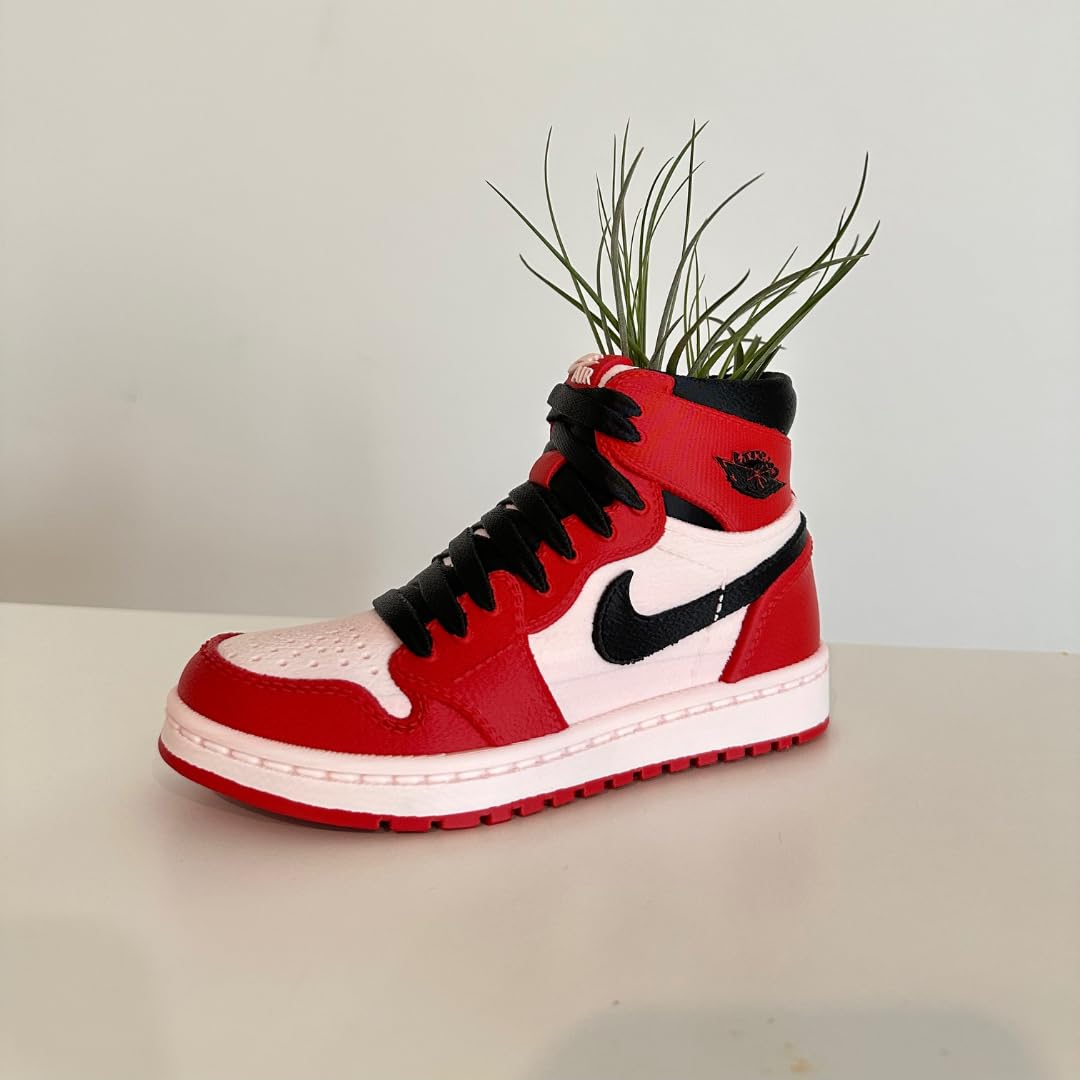 Sneakers Shoes Air High Planter Pot 3D Printed- Pen Holder & Pencil Holders- Plant Pot for Indoor Plants- EcoFriendly Plastic -Unique planter for indoor with Drainage hole- MADE IN USA - Print Level 3D