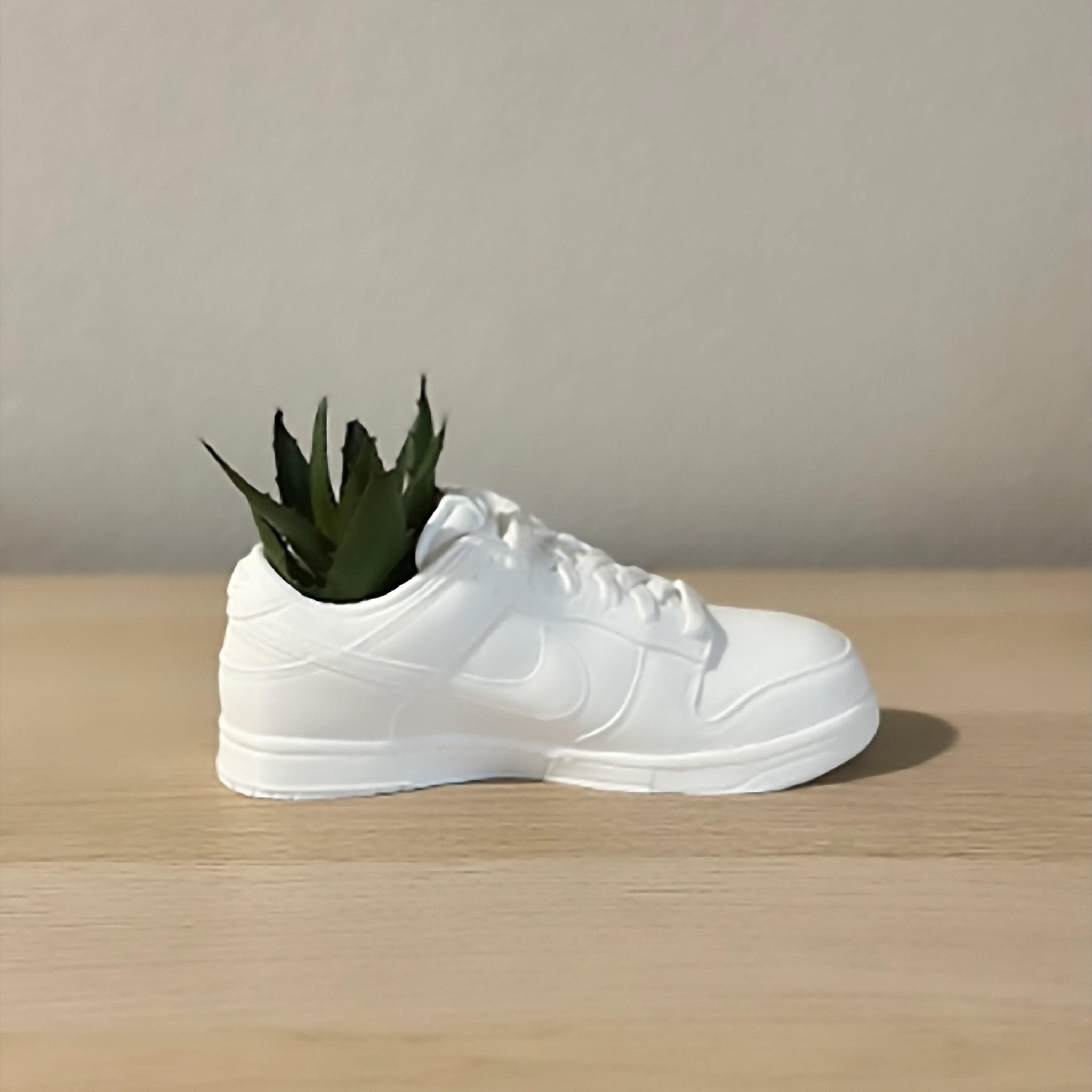 Sneakers Style Dunks Planter Pot - Pencil Cup Holder - Desk Organiser - Free Shipping - Print Level 3D