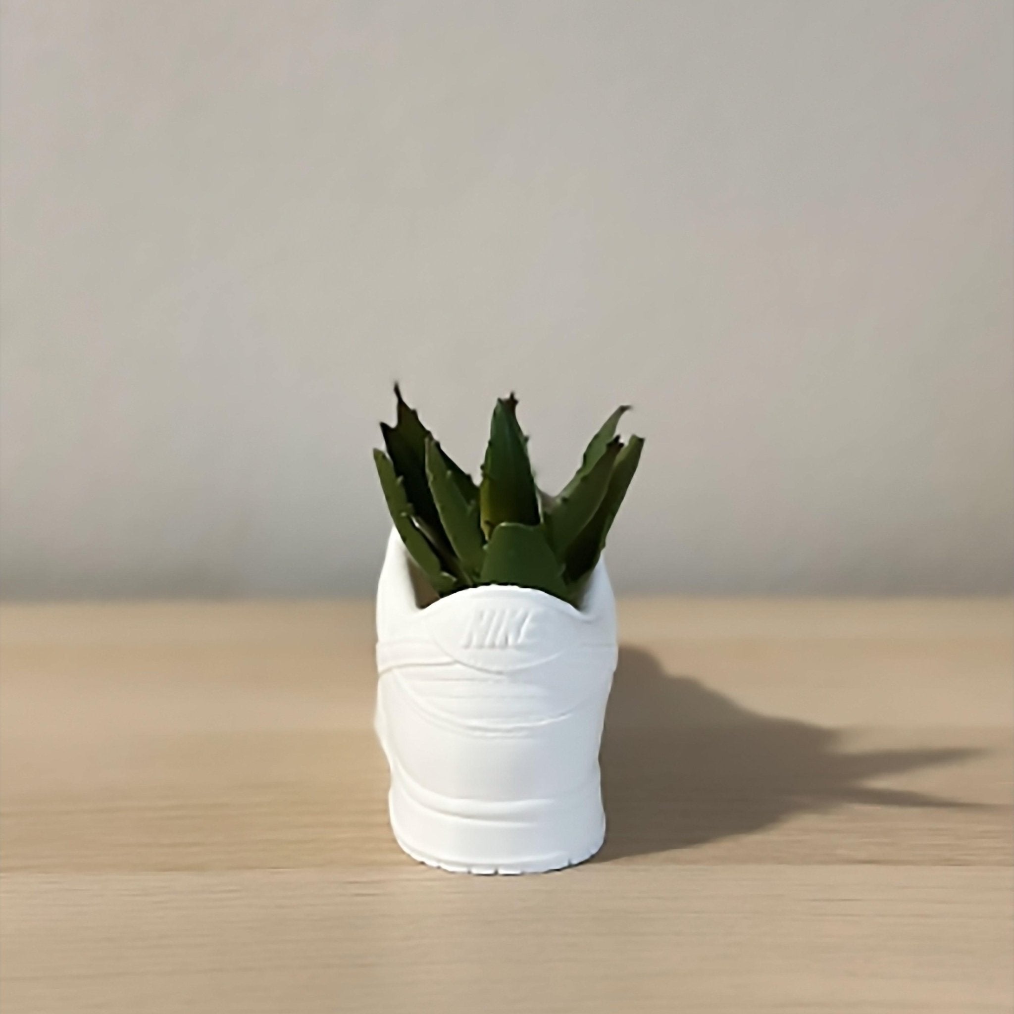 Sneakers Style Dunks Planter Pot - Pencil Cup Holder - Desk Organiser - Free Shipping - Print Level 3D