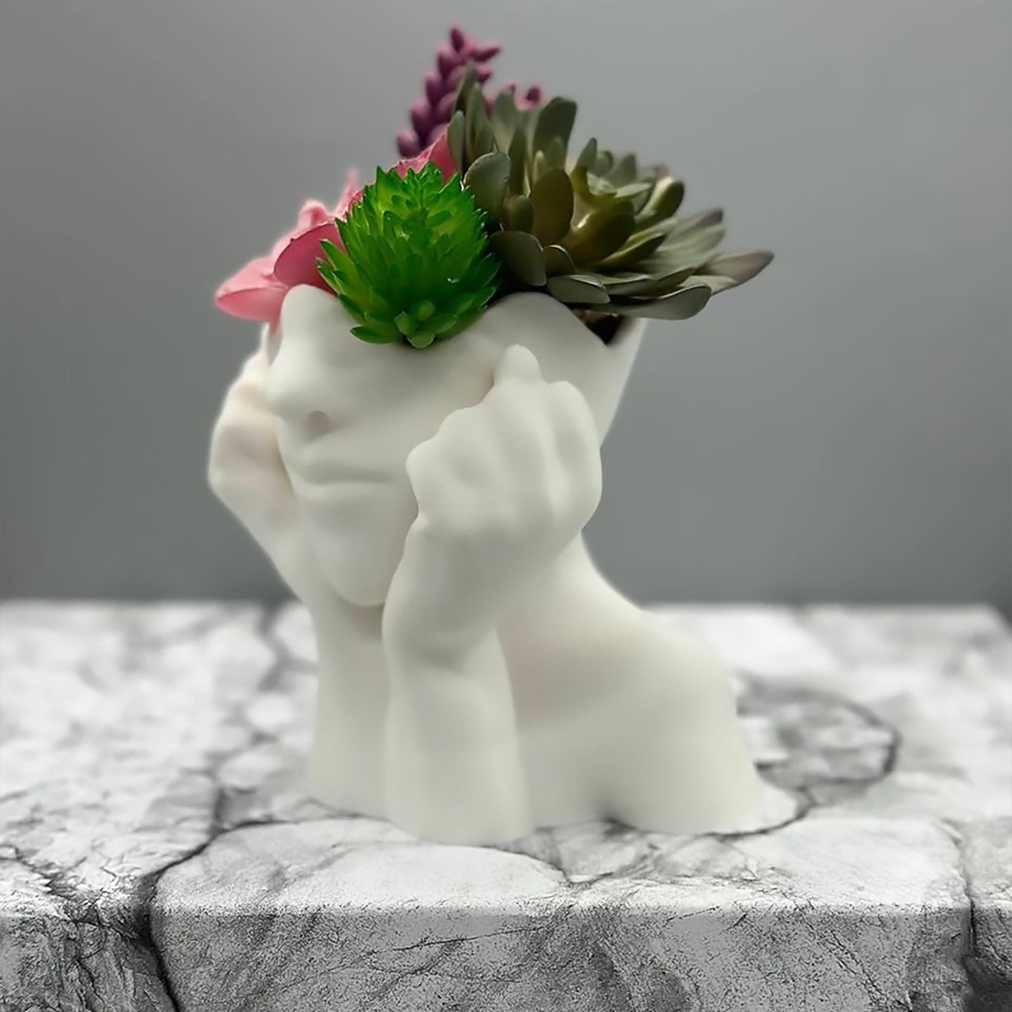 Women Face Plant Home Decor, Head Planter pot, Preppy Room Decor - Print Level 3D