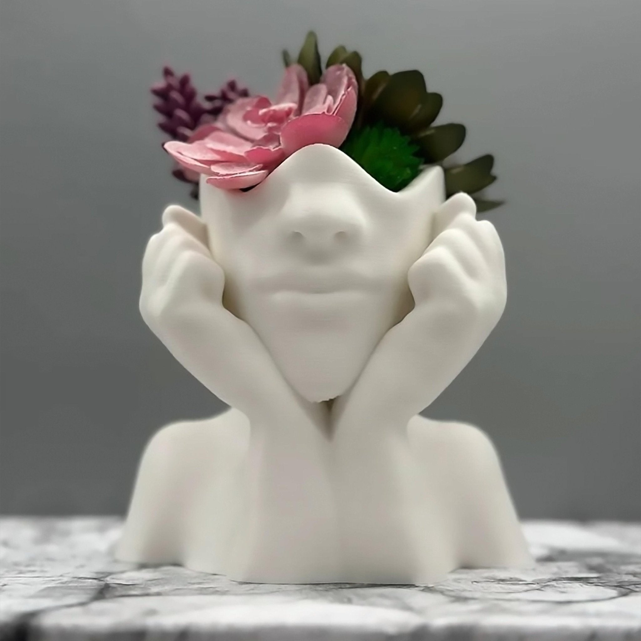 Women Face Plant Home Decor, Head Planter pot, Preppy Room Decor - Print Level 3D