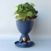 Coffee Cup Planter