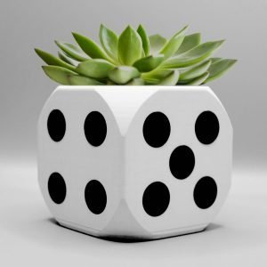 dice succulent planter