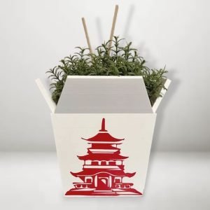 chinese takeout planter set
