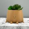 happy face planter kawaii