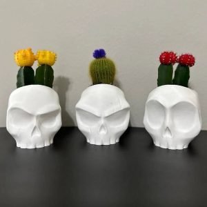 skull planter pot