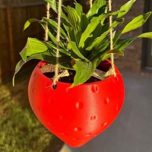 strawberry hanging planter