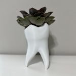 Tooth Shape Planter – cute dentist gift and pen holder