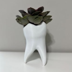 tooth shape planter