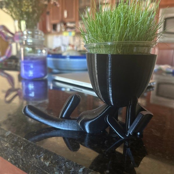 Image #1 from Chelsey Zwicker