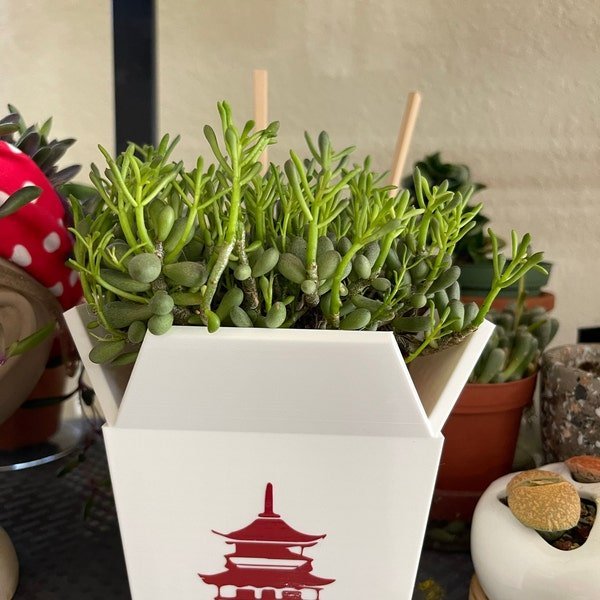 Image #1 from Anna Mello