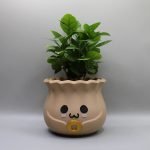 kawaii bao bun planter pot – cute smiling plant cup