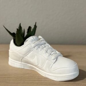 sneakers dunks planter