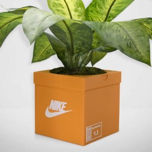 sneakers box planter