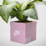 Sneakers Box Planter Pink – Stylish Urban Planter Pot