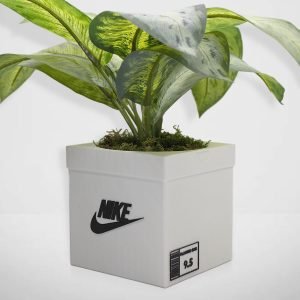 sneakers box planter pot