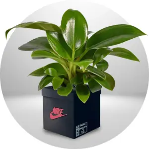 3D Printed Urban pots