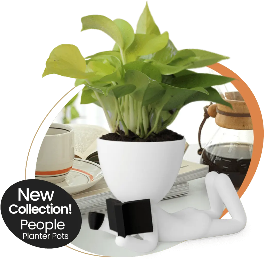 3D Printed Planter Pots