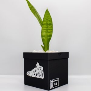 Sneakerhead Box Planter Pot